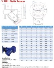 Garanti Flanşlı Y Tip Pislik Tutucu GG25 DN25