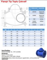 Garanti Flanşlı Tip Toplu Çekvalf DN-100