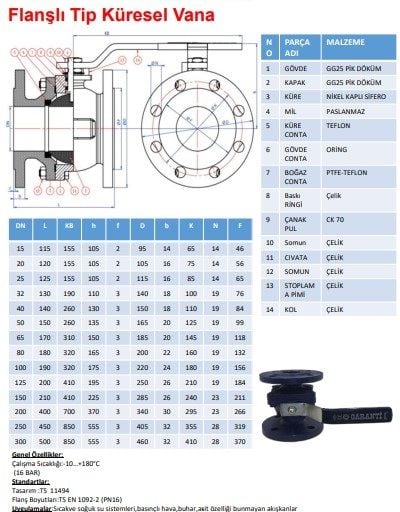 Garanti Küresel Vana DN-15
